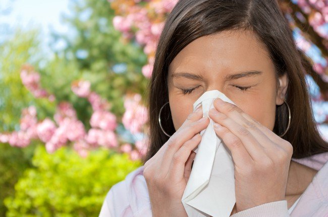 Основные причины возникновения аллергии на пыльцу