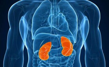 Ці ознаки можуть вказувати на збій в роботі нирок