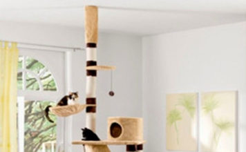 Домашние животные