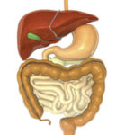 Що зміниться після видалення жовчного міхура?