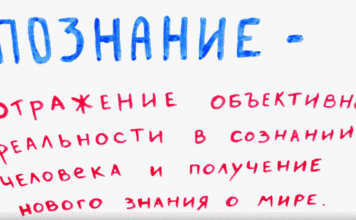 Категории людей в изучении и познании новых знаний