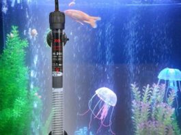 Нужен ли зимой специальный нагреватель для аквариума? нагреватели для аквариума