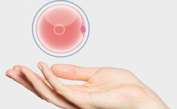 Донация яйцеклеток: как стать донором