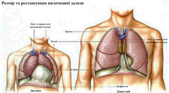 симптоми раку тимуса