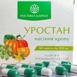 Фітопрепарати для здоров’я нирок: які компоненти варто знати Фітопрепарати для здоров’я нирок
