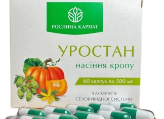 Фітопрепарати для здоров’я нирок: які компоненти варто знати Фітопрепарати для здоров’я нирок