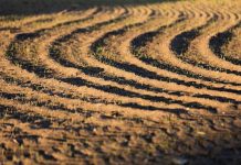 Вплив інсектицидів на бджіл Аграрна платформа