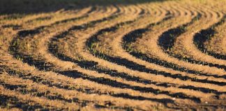 Аграрна платформа