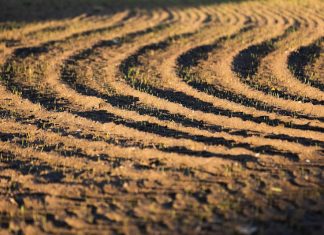 Аграрна платформа