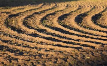 Аграрна платформа