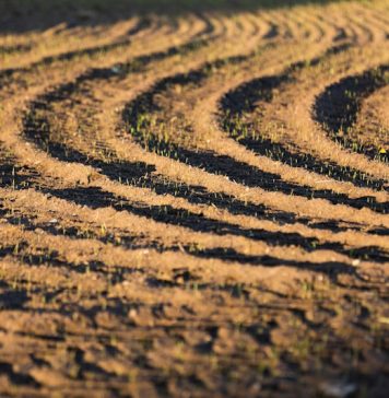 Аграрна платформа