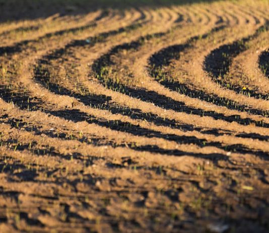 Аграрна платформа