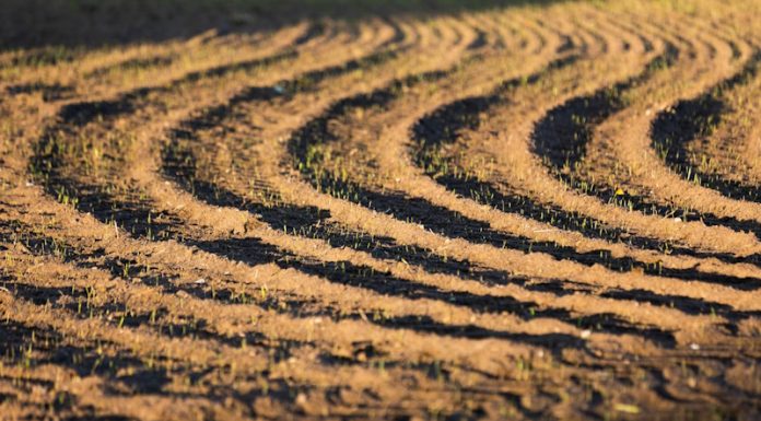 Аграрна платформа