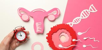 Что такое овариальный резерв и зачем его проверять овариальный резерв