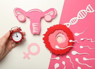 Что такое овариальный резерв и зачем его проверять овариальный резерв