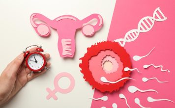 Что такое овариальный резерв и зачем его проверять овариальный резерв